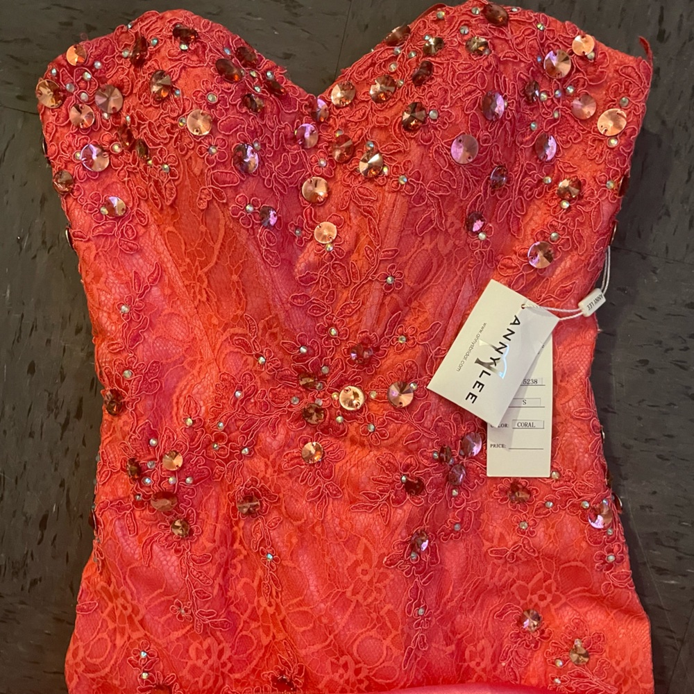 Any Lee Bridal/Prom Dress
